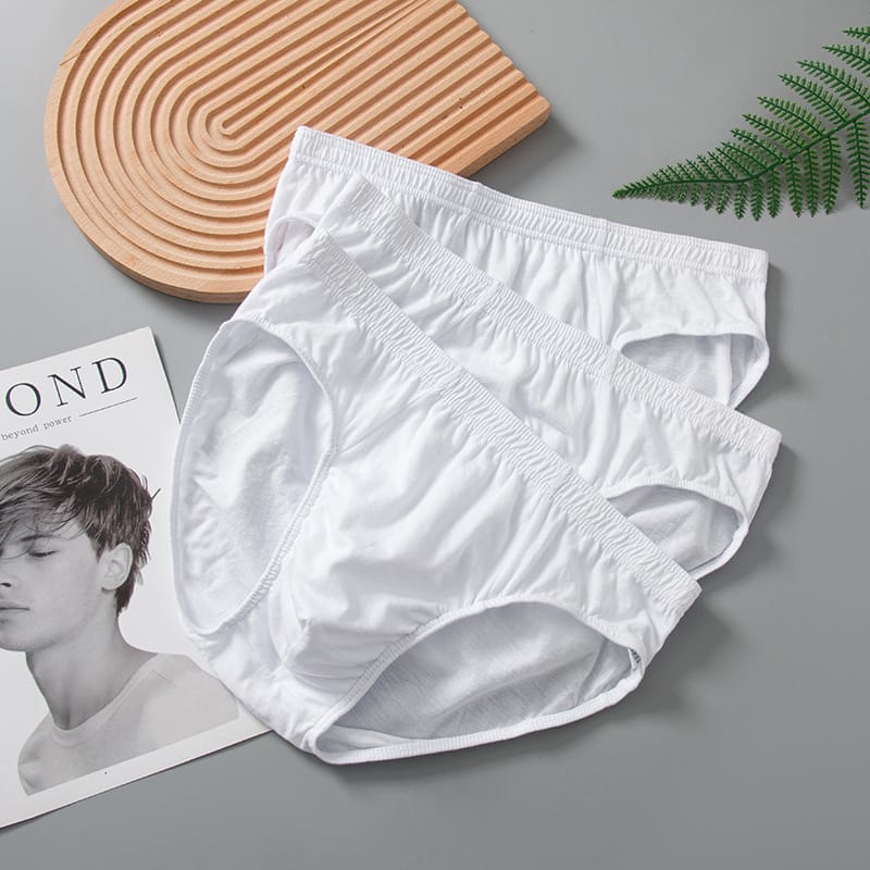 White triangle pants, men's underwear, pure cotton mid rise shorts 3PCS