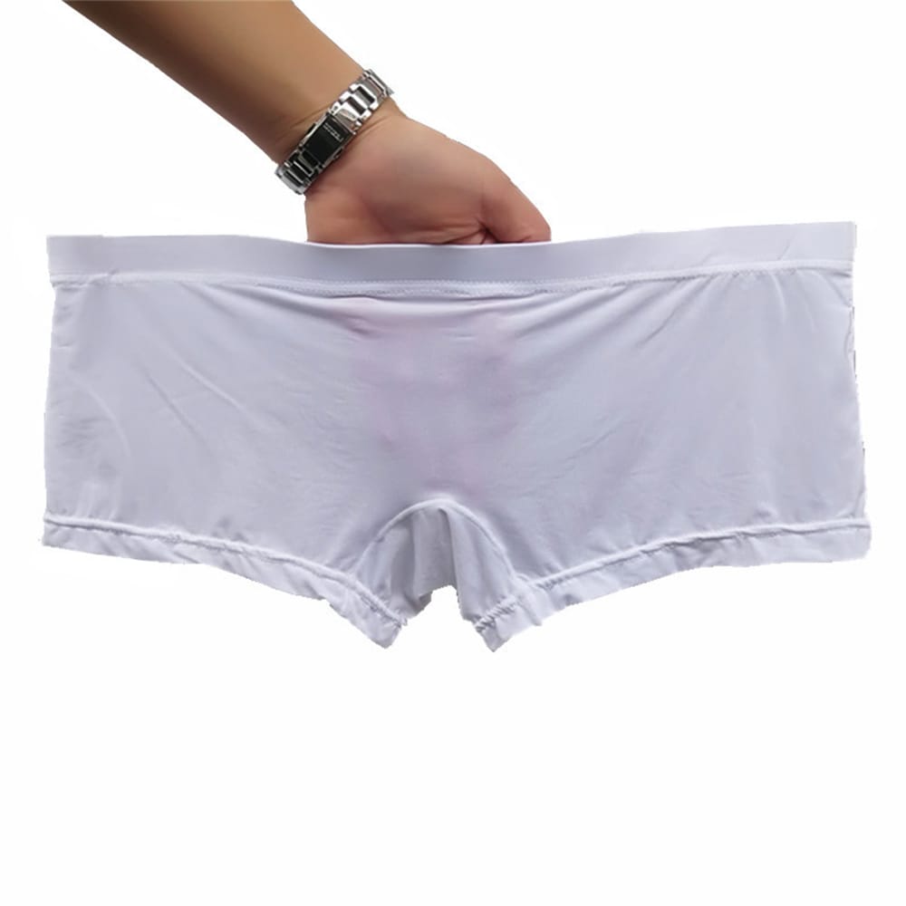 Men's Sexy Ice Silk Sheer See-Through Briefs Underwear Solid Color Elastic Shorts Trunks Low Rise Breathable Underpants