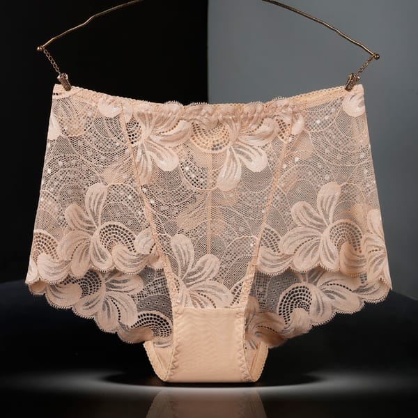 Women Sexy Hollow Lace High Waist Underwear Great Elasticity Transparent Cotton Crotch for Plump Female Breathable Thin Breifs