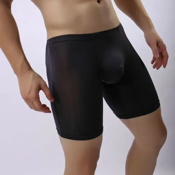 Casual Men's Transparent Mesh Briefs Men Slim Underpants Leg Running Fashion Sports Mens Trunks Thin Long Underwear