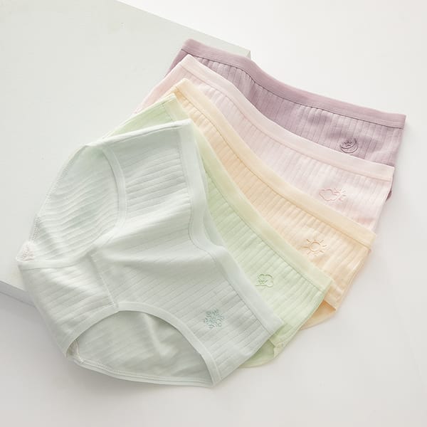 5Pcs/Set Women's Panties Cotton Underwear For Female Ladies Soft Breathable Panty Girls Seamless Briefs Sexy Shorts Lingerie